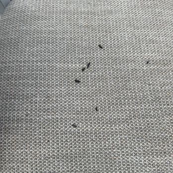 Extra Space Storage - Rodent feces - Self Storage Near Me - Tigard, Oregon