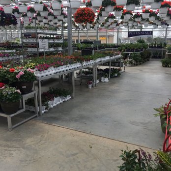 Canoyer Garden Center - Nurseries & Gardening Near Me - Ankeny, Iowa Canoyer Garden Center - Nurseries & Gardening Near Me - Ankeny, Iowa