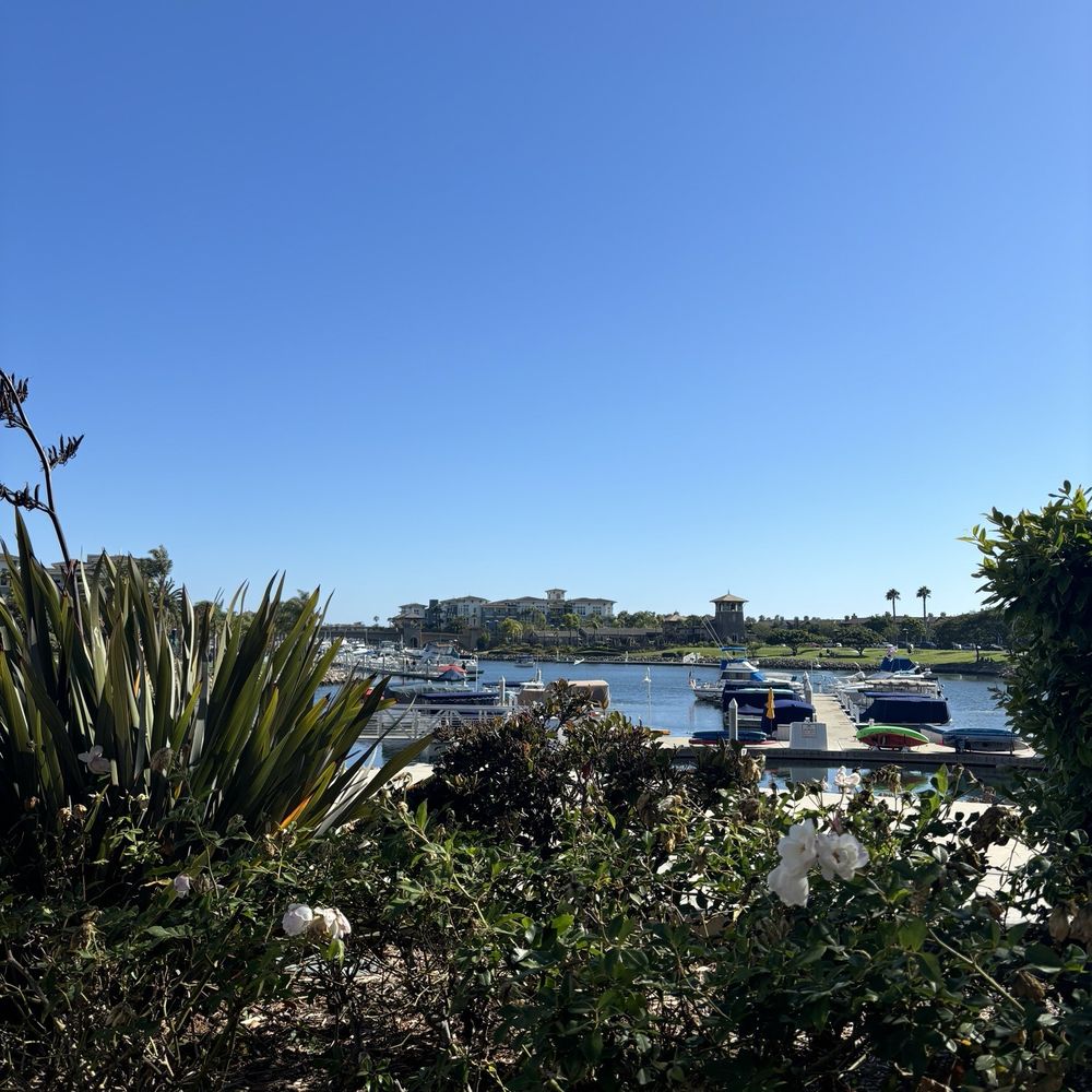 Fishermen's Catch - Patio view - Seafood Markets Near Me - Oxnard, California