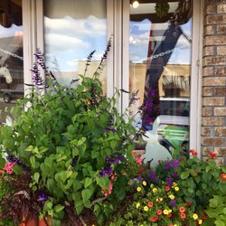 Tiger Lilly's Boutique - Look for the flower boxes outside