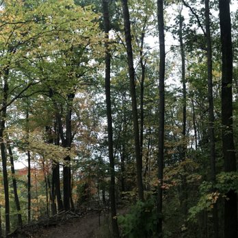 Webster's Falls - Landmarks & Historical Buildings Near Me Webster's Falls - Landmarks & Historical Buildings Near Me