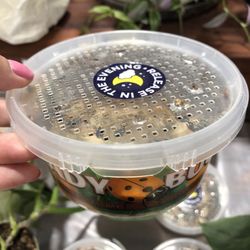 Emigh Ace Hardware - Ladybugs