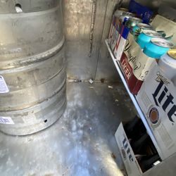 Dead frog in beer cooler