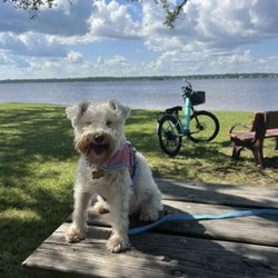 Island Retreat RV Park - Gulf Shores State Park Lake Shelby