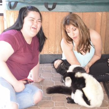 Exotic Animal Experience - He likes his underarms scratched - Zoos Near Me Exotic Animal Experience - He likes his underarms scratched - Zoos Near Me