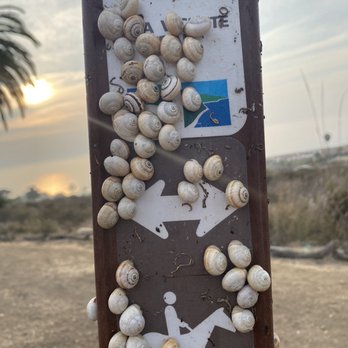 Alta Vicente Reserve - More snails - Hiking Near Me - Rancho Palos Verdes, California