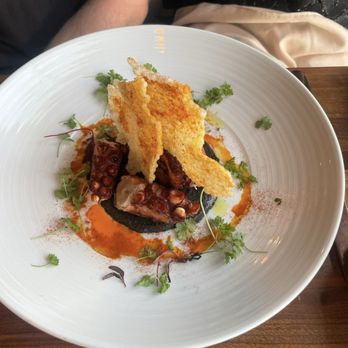 Chayote Barrio Kitchen - Pulpo app, Cooked perfectly - Latin American Near Me - Winter Park, Florida