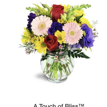 Clemson Flower Shop - Florists Near Me - Clemson, South Carolina Clemson Flower Shop - Florists Near Me - Clemson, South Carolina