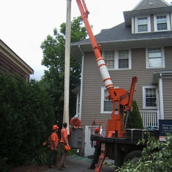 Bark Busters Tree Service - two men working on a tree - Landscaping Near Me - Westwood, Massachusetts Bark Busters Tree Service - two men working on a tree - Landscaping Near Me - Westwood, Massachusetts