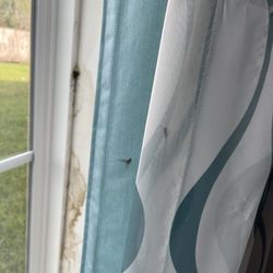 La Quinta by Wyndham Lake Charles - Westlake - More water damage.