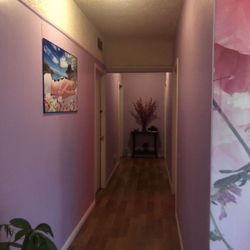 Butterfly Spa - Guest Reception