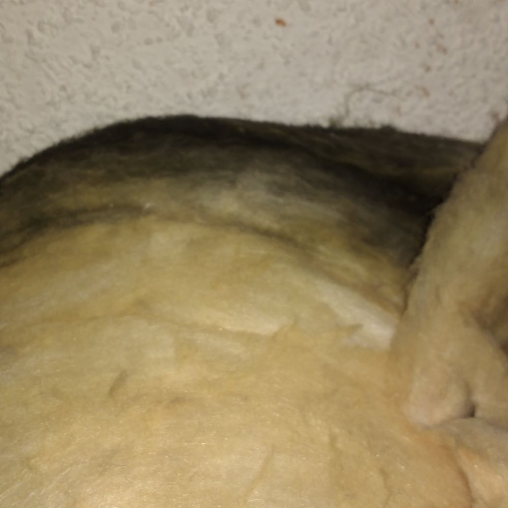 Servpro - Re-used the old nasty insulation after remediating mold that was in our HVAC system. This pic was AFTER the job was done. Not good. - Damage Restoration Near Me - Santa Ana, California Servpro - Re-used the old nasty insulation after remediating mold that was in our HVAC system. This pic was AFTER the job was done. Not good. - Damage Restoration Near Me - Santa Ana, California