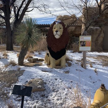 Denver Zoo - Zoos Near Me - Denver, Colorado Denver Zoo - Zoos Near Me - Denver, Colorado
