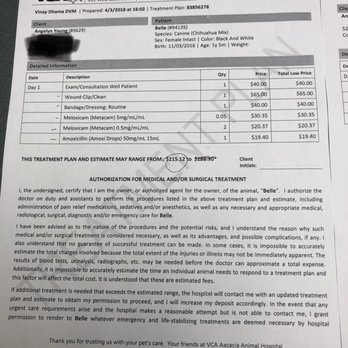 vca animal hospital prices