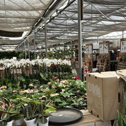 Wholesale atmosphere with retail prices