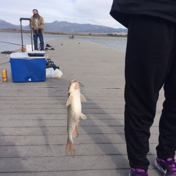 Lake Henshaw Cafe - "We eat what we catch" She caught her first catfish and I would've starved without her! Thank God for women and their patience. - Resorts Near Me - Santa Ysabel, California