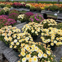 Blodgett Family Farm