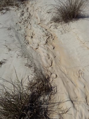 Bardenas Reales by null
