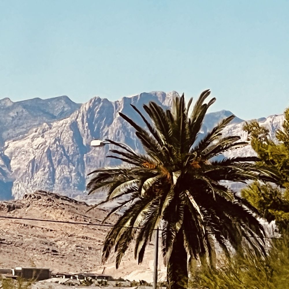 M Resort - Hotels Near Me - Henderson, Nevada