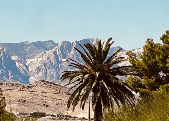 M Resort Spa Casino by null M Resort Spa Casino by null