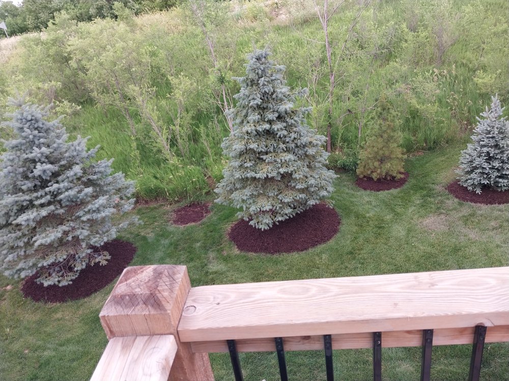 Yard Market - tree service in Omaha, NE