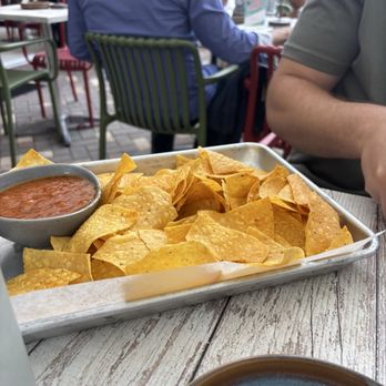 Vote For Pedro - Chips N Salsa - Sports Bars Near Me - Boca Raton, Florida