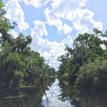 Airboat Adventures - Gorgeous views throughout the tour - Boat Tours Near Me - Lafitte, Louisiana Airboat Adventures - Gorgeous views throughout the tour - Boat Tours Near Me - Lafitte, Louisiana