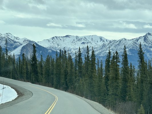 Talkeetna Roadhouse by null
