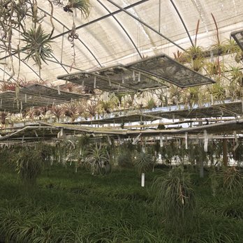 Rainforest Flora - Nurseries & Gardening Near Me - Torrance, California Rainforest Flora - Nurseries & Gardening Near Me - Torrance, California