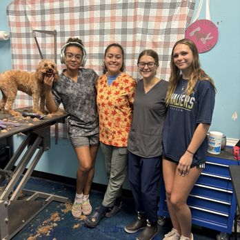 Lucky Pups Pet Wash - Pet Groomers Near Me - Chesapeake, Virginia Lucky Pups Pet Wash - Pet Groomers Near Me - Chesapeake, Virginia