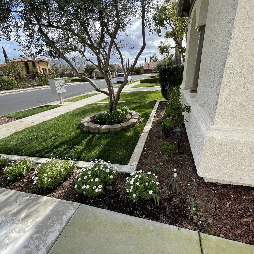 Luigi's Landscaping - Landscaping Near Me