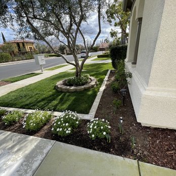Luigi's Landscaping - Landscaping Near Me