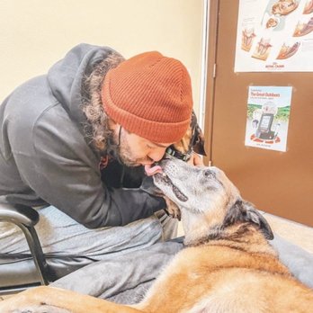 Long Beach Doggie Care & Services - Dog Walkers Near Me Long Beach Doggie Care & Services - Dog Walkers Near Me