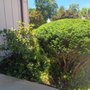 MP Lawncare
