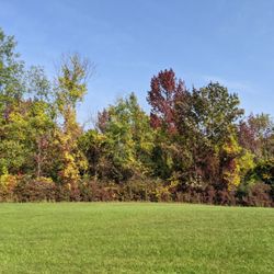 Woodman Hill Orchard - Fall foliage on side of orchard