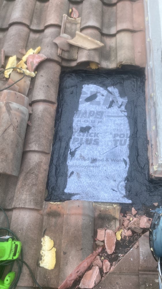 Slide of Tomas Roofer