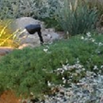 Saunders Designs - Low-water, Low-maintenance Landscapes & Gardens. - Landscaping Near Me - Novato, California Saunders Designs - Low-water, Low-maintenance Landscapes & Gardens. - Landscaping Near Me - Novato, California