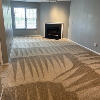 Carpet Elves - Carpet Cleaning Near Me