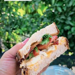 Vertigo Coffee Roasters - Breakfast Sandwich