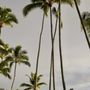 Photo of Bayfront Park