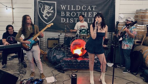 Wildcat Brothers Distilling at Gator Cove by null