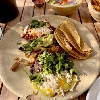 Fig Tree - Cafes Near Me - Los Angeles, California Fig Tree - Cafes Near Me - Los Angeles, California
