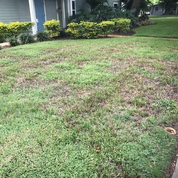 AssureGreen Property Services - Tree Services Near Me - Oldsmar, Florida AssureGreen Property Services - Tree Services Near Me - Oldsmar, Florida