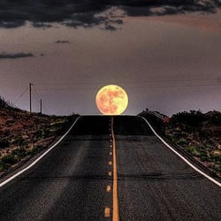 Cyntressa Elese Interiors - Our Motto, Reach for the Moon