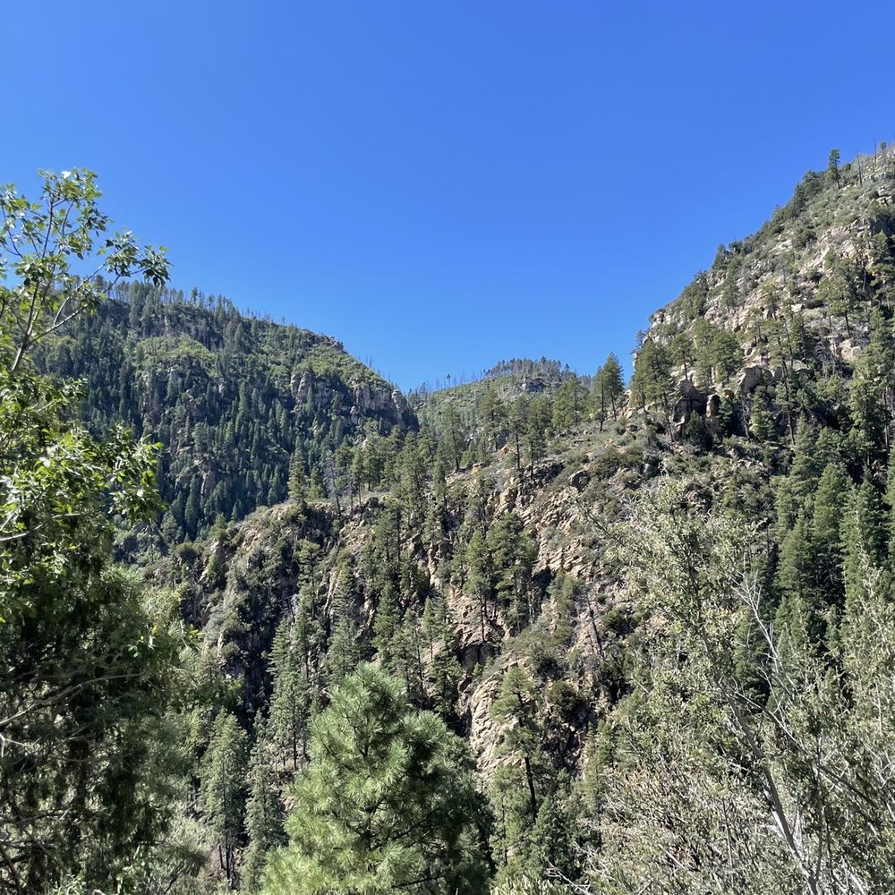Coconino National Forest - Public Services & Government Near Me - Flagstaff, Arizona Coconino National Forest - Public Services & Government Near Me - Flagstaff, Arizona