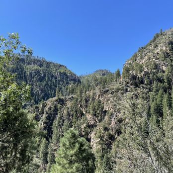 Coconino National Forest - Public Services & Government Near Me - Flagstaff, Arizona