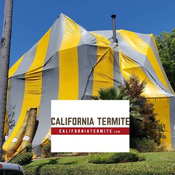 California Termite and Pest Control - Pest Control Near Me - Vista, California California Termite and Pest Control - Pest Control Near Me - Vista, California