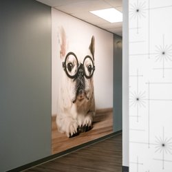 EyeShop Optical