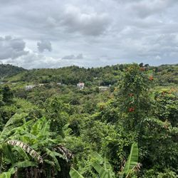 El nuevo Escondite Mio - Campo de Gurabo
