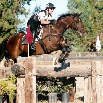 Goldspirit Farm - Horseback Riding Near Me - Sylmar, California Goldspirit Farm - Horseback Riding Near Me - Sylmar, California